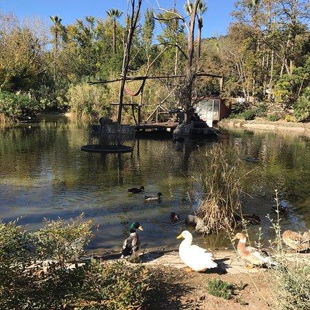 Zoo de Naples